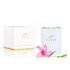 P/Fiji Coconut Wax Candle 9oz Mango