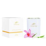 P/Fiji Coconut Wax Candle 9oz Mango